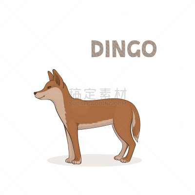字母,动物,绘画插图,卡通,矢量,澳洲野狗,分离着色,白色背景,生姜,可爱的