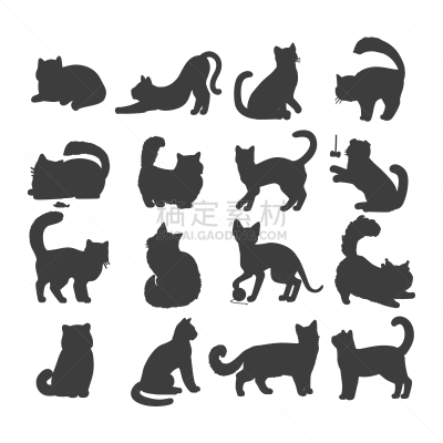 猫,扁平化设计,分离着色,可爱的,宠物,纯种犬,肖像,图像,哺乳纲,自然美