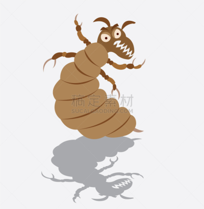 虱子,矢量,寄生的,体虱,头虱,吸血动物,图像,运送