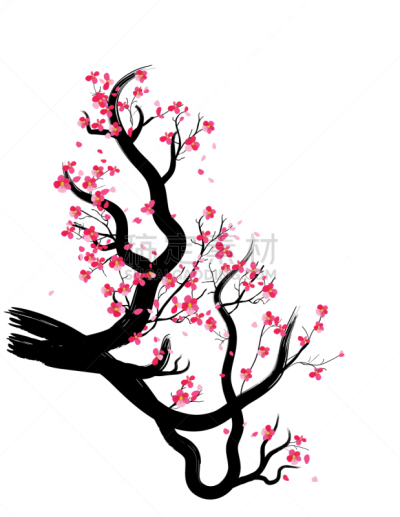 水彩画,花朵,樱之花,背景,边框,分离着色,白色,矢量,图像,花