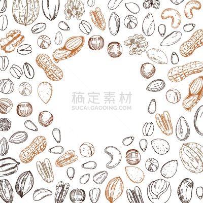 坚果,矢量,背景,农业,素食,自然界的状态,食品,成分,甜食,植物
