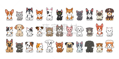 狗,卡通,猫,矢量,个性,可爱的,纯种犬,梗犬,背景分离,捕食