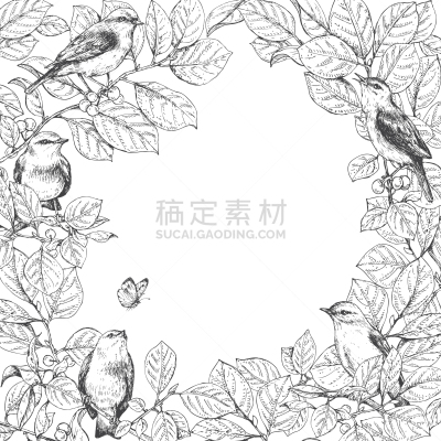 枝,鸟类,边框,长方形,轮廓,自然,图像,矢量,设计,绘制