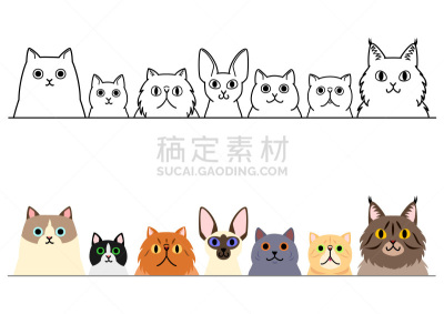猫,可爱的,卡通,国境线,布置