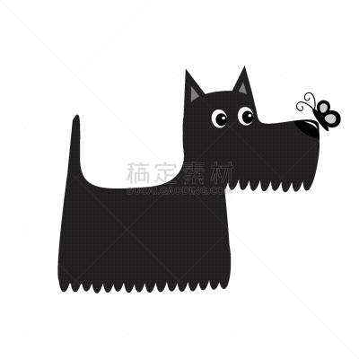狗,看,苏格兰粗毛猎狐犬,黑色,蝴蝶,可爱的,纯种犬,梗犬,小的,动物