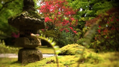 禅宗花园抽象派粉红树雕像