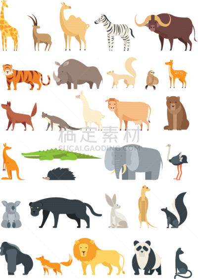 可爱的,动物,非洲,热带雨林,森林,平坦的,斑马,野生动物,狮子,象