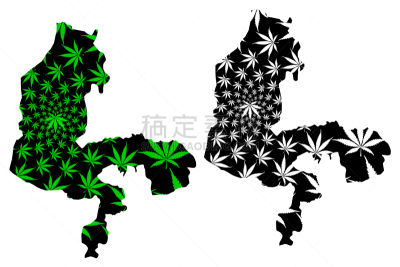 尼日利亚,州,草,植物,轮廓,自然,剪影,除草