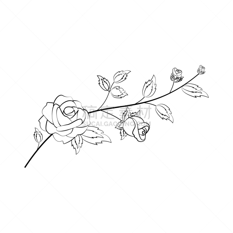 rose flower branch outline