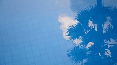 泳池上的棕榈阴影