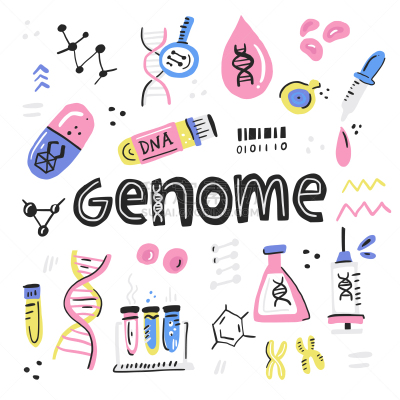 人,文书工作,生物学,分离着色,健康保健,螺线,图表,生物化学,生物科技,概念