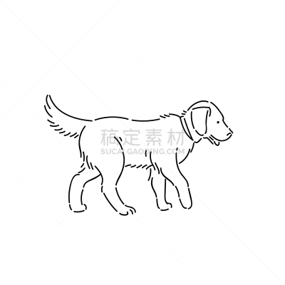 纯种犬,巨大的,拉布拉多犬,线条画,分离着色,轮廓,白色,宠物,图像,散步