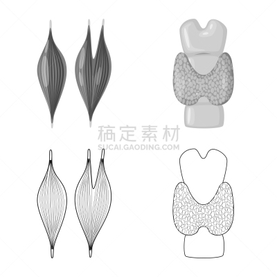 生物学,科学,计算机图标,背的，脊的,分离着色,健康保健,人,身体受伤,设计,收集