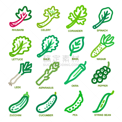 蔬菜,细的,线图标,可爱的,农业,芹菜,素食,菠菜,胡瓜,韭