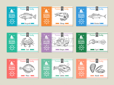 模板,标签,海产,动物手,菜单,清新,食品,鲽,绘制,设计