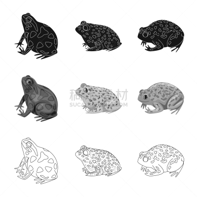 野生动物,藓沼,符号,生物学,青蛙,动物,牛蛙,两栖纲,人类腺体,爬行纲