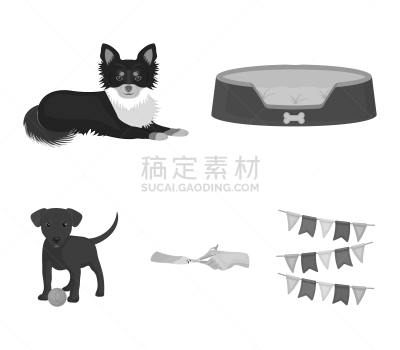 兽医,宠物,爪,垃圾,图像,矢量,分离着色,做手势,收集,教育