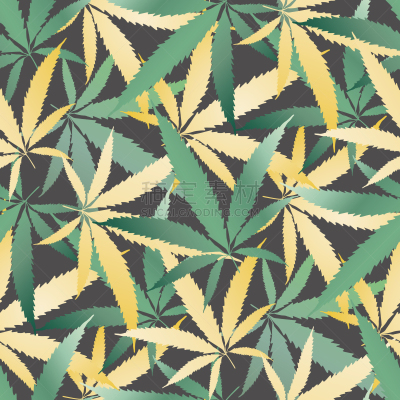 背景,式样,健康生活方式,水鸭,矢量,叶子