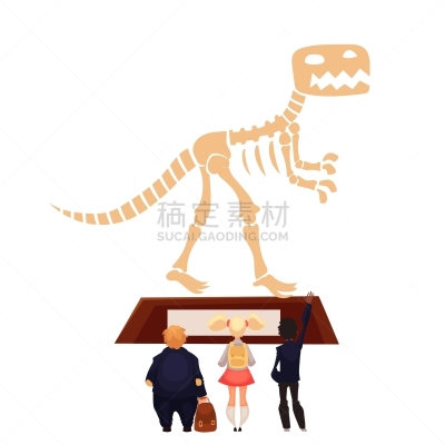 看,恐龙,儿童,动物骨骼,人,男孩,女孩,收集,探险