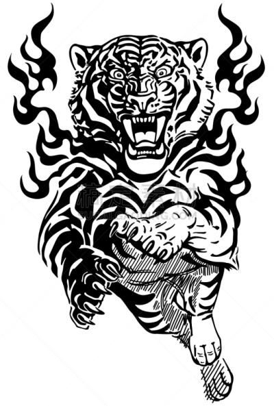 虎,黑白图片,火焰,正面视角,动物舌头,背景分离,野生动物,迅速,猫科动物,动物