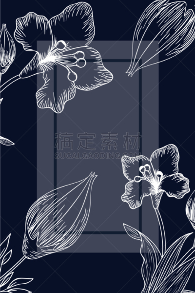 分离着色,植物群,草本,边框,计算机图标,夏天,白色,黑色,华丽的,庆祝