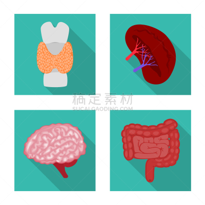 健康保健,分离着色,人,符号,人造物,生物学,整形器具,植物群,人类骨架,思考