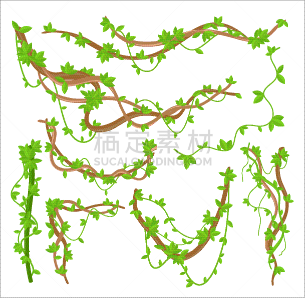 绘画插图,矢量,藤蔓植物,绿色,平坦的,植物群,常春藤,边框,热带气候,枝繁叶茂