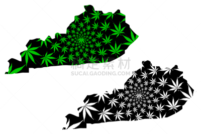 肯塔基州,健康保健,草,路易斯维尔,弗兰克福,设计,剪影