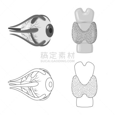 生物学,科学,背的，脊的,分离着色,健康保健,人,多层效果,身体受伤,整形器具,收集