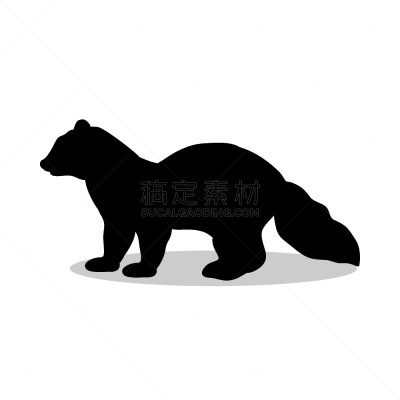 哺乳纲,动物,貂,貂鼠,黑色,野生动物,模板,剪影
