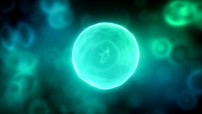 细胞分裂