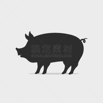 猪,春节,猪肉,图像,英国,一只动物,家猪,动物,无人,矢量