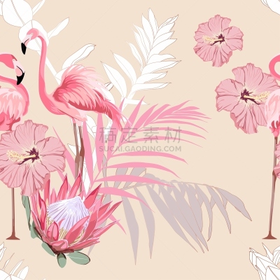 夏天,绘画插图,自然,粉色,热带的花,塑料火烈鸟,四方连续纹样,海滩,花,设计