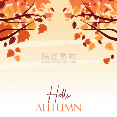 季节,秋天,你好,景象,枝,可爱的,九月,自然,十月,环境
