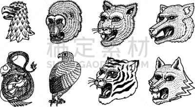 彪马,狐狸,捕猎行为,狼,动物头,野外动物,虎,可爱的,斑马,野生动物