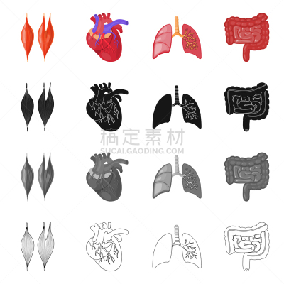 生物学,科学,计算机图标,分离着色,健康保健,人,图像,植物群,生病,收集