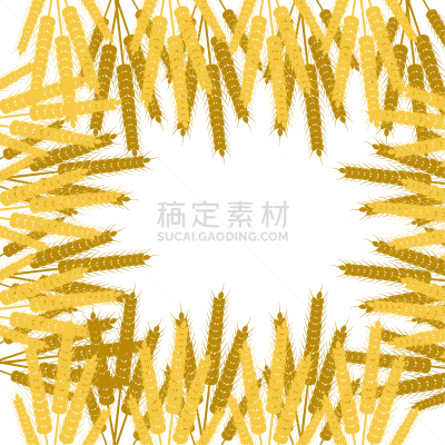 sheaves ears grain crops wheat rye