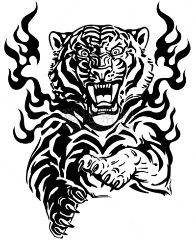 虎,火焰,动物舌头,背景分离,野生动物,迅速,猫科动物,动物,面部表情,危险
