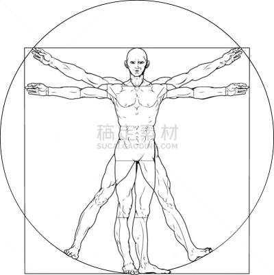 维特鲁威人,生物学,健康保健,人,名声,比例,男人,文艺复兴