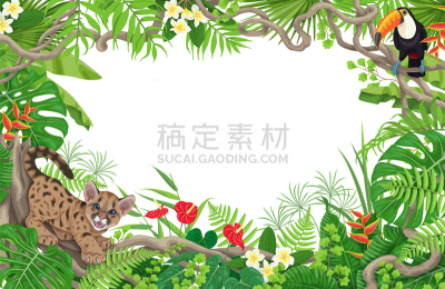 彪马,巨嘴鸟,鸡尾酒,背景,可爱的,复叶,干酪藤,植物群,小的,动物