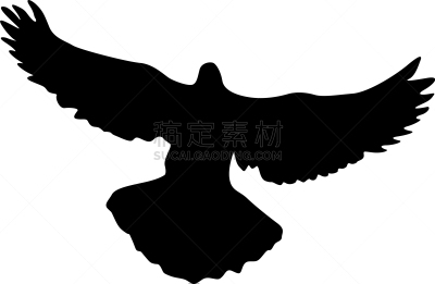 概念,斑鸠,摆拍,野生动物,婚礼,翅膀,爱