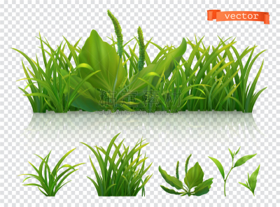 草,三维图形,公园,图标集,草地,草坪,复活节,清新,植物群,写实