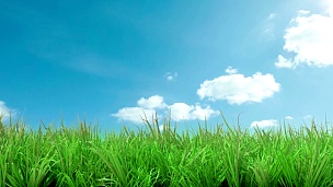 夏天蔚蓝的天空和活泼的绿草