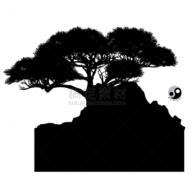 盆景,华丽的,复叶,折纸工艺,环境,公园,自然美,榆树,小的