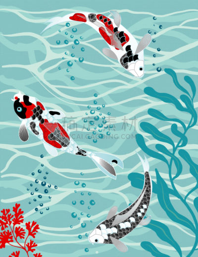 珊瑚,水下,锦鲤,鲤鱼,海洋生命,垂直画幅,热带气候,图像,海洋,复古风格