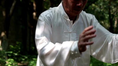 老人在公园里练太极