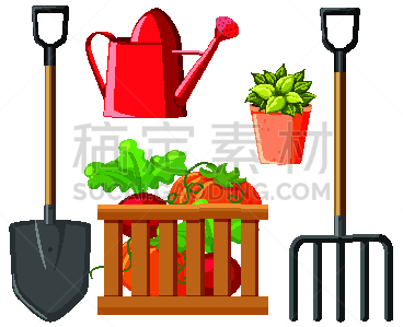 园艺,白色背景,农业,自然,蔬菜,健康食物,食品,喷壶,图像,艺术