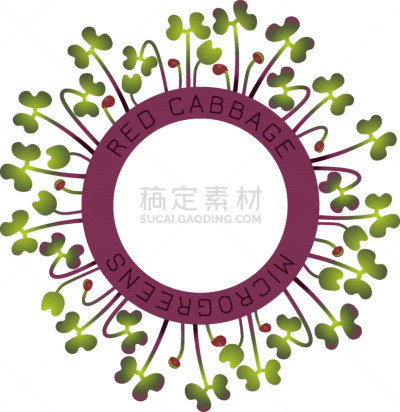 红球甘蓝,种子,式样,蔬菜,素食,清新,维生素,抗炎,植物群,包装