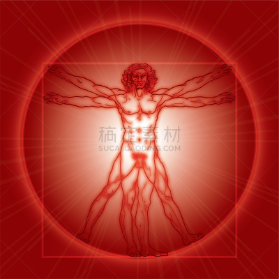 维特鲁威人,黄金分割,健康保健,红色,人,智慧,比例,男人,人属,新生活