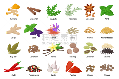 香料,绘画插图,扁平化设计,白色背景,草本,巨大的,矢量,计算机图标,分离着色,收集